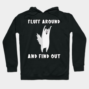 Fluff Around And Find Out Cat Hoodie